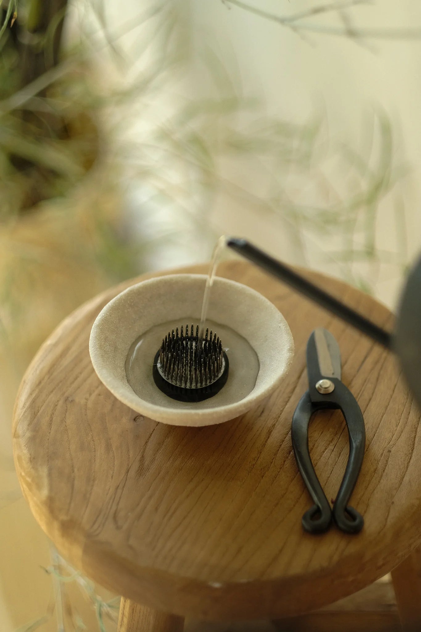 DIY Ikebana Flower Arrangement Set – Poppy & August