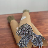 French Lavender Dried Bundles