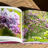 Lilacs:  Beautiful Varieties For Home & Garden