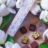 MECHA Chocolates