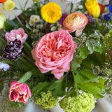Garden Extravaganza