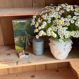 Books & Blooms Bundle: Pride and Prejudice Painted Edition