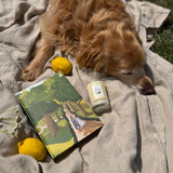 Books & Blooms Bundle: Pride and Prejudice Painted Edition