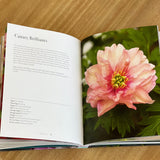 Peonies: Beautiful Varieties For Home & Garden