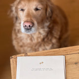 Pet Loss Sympathy Card