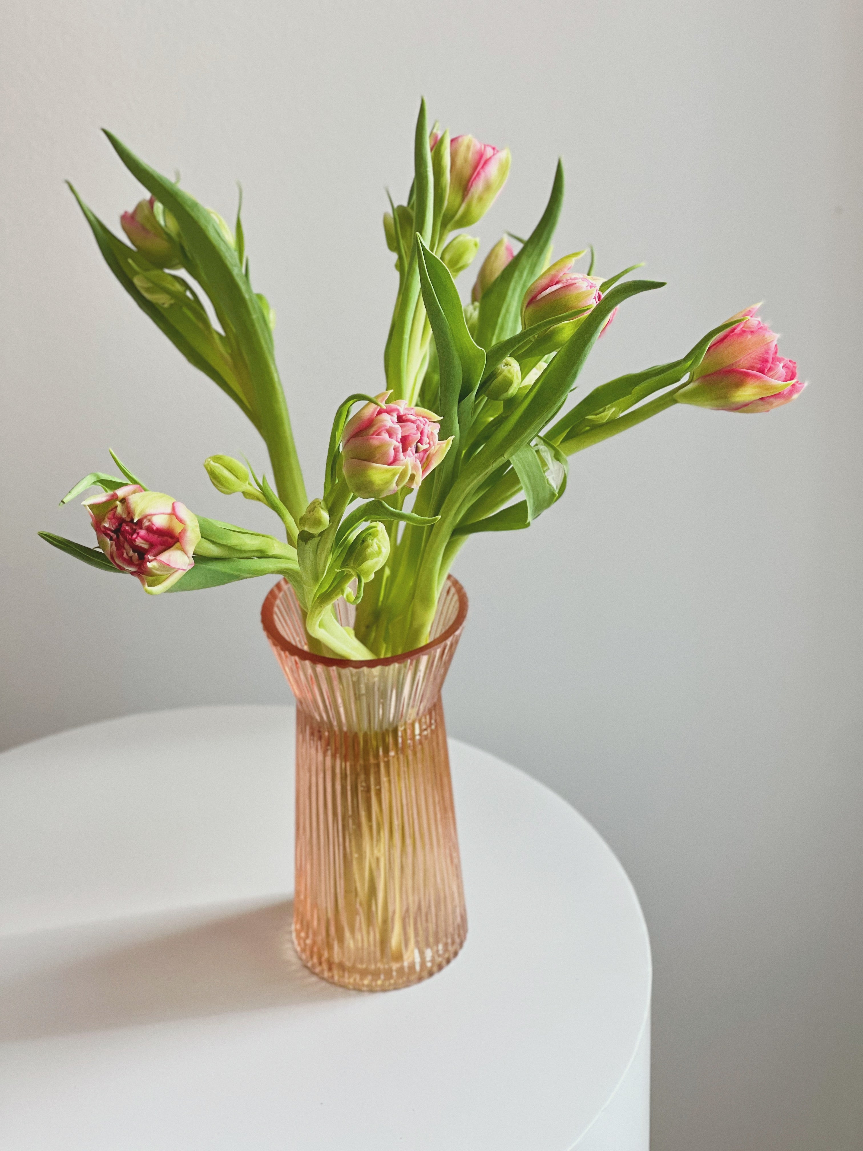 Peachy Keen Vase – Poppy & August